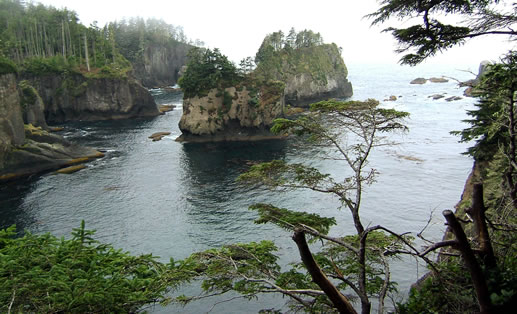 Cape Flattery