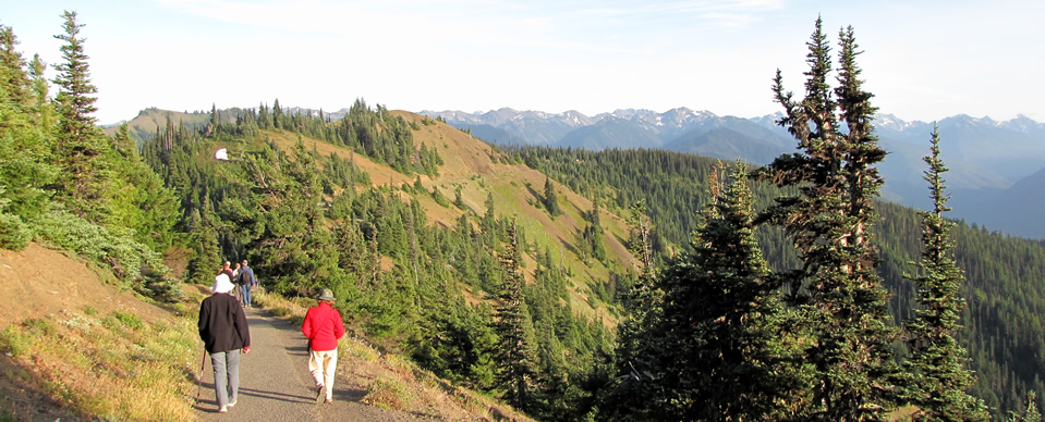 Day Trips Port Angeles Inn